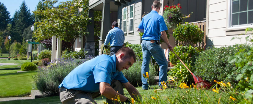 Benefits of hiring a Richmond Hill Landscaping Company