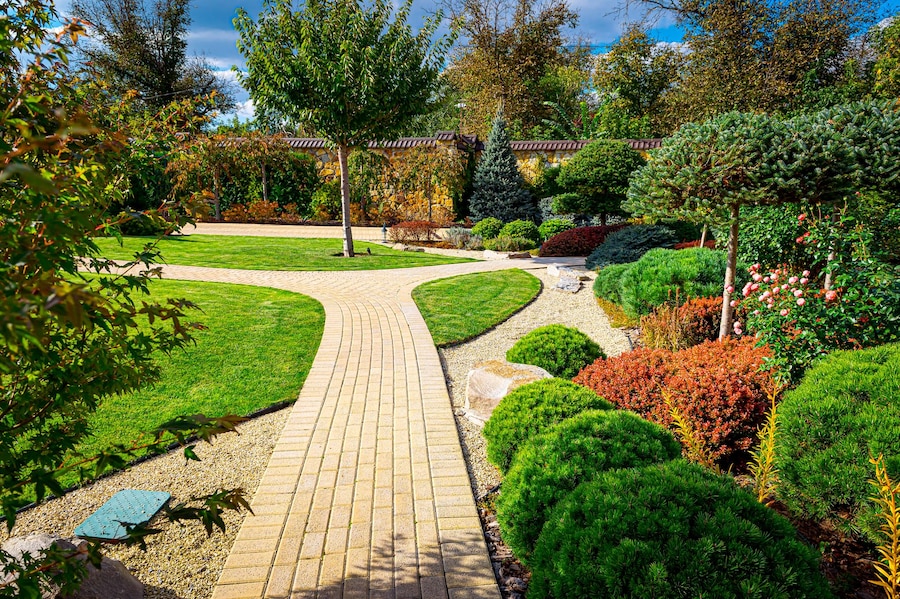A Beginner's Guide to Choosing the Right Landscaping Company
