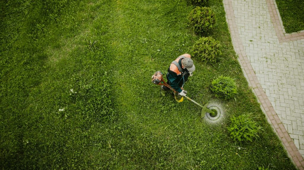 Keep Your Landscape in Top Shape with Professional Landscape Maintenance Services