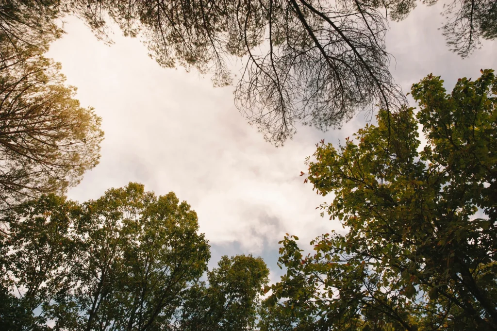 Seasonal Changes