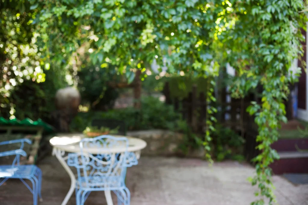 Backyard Oasis