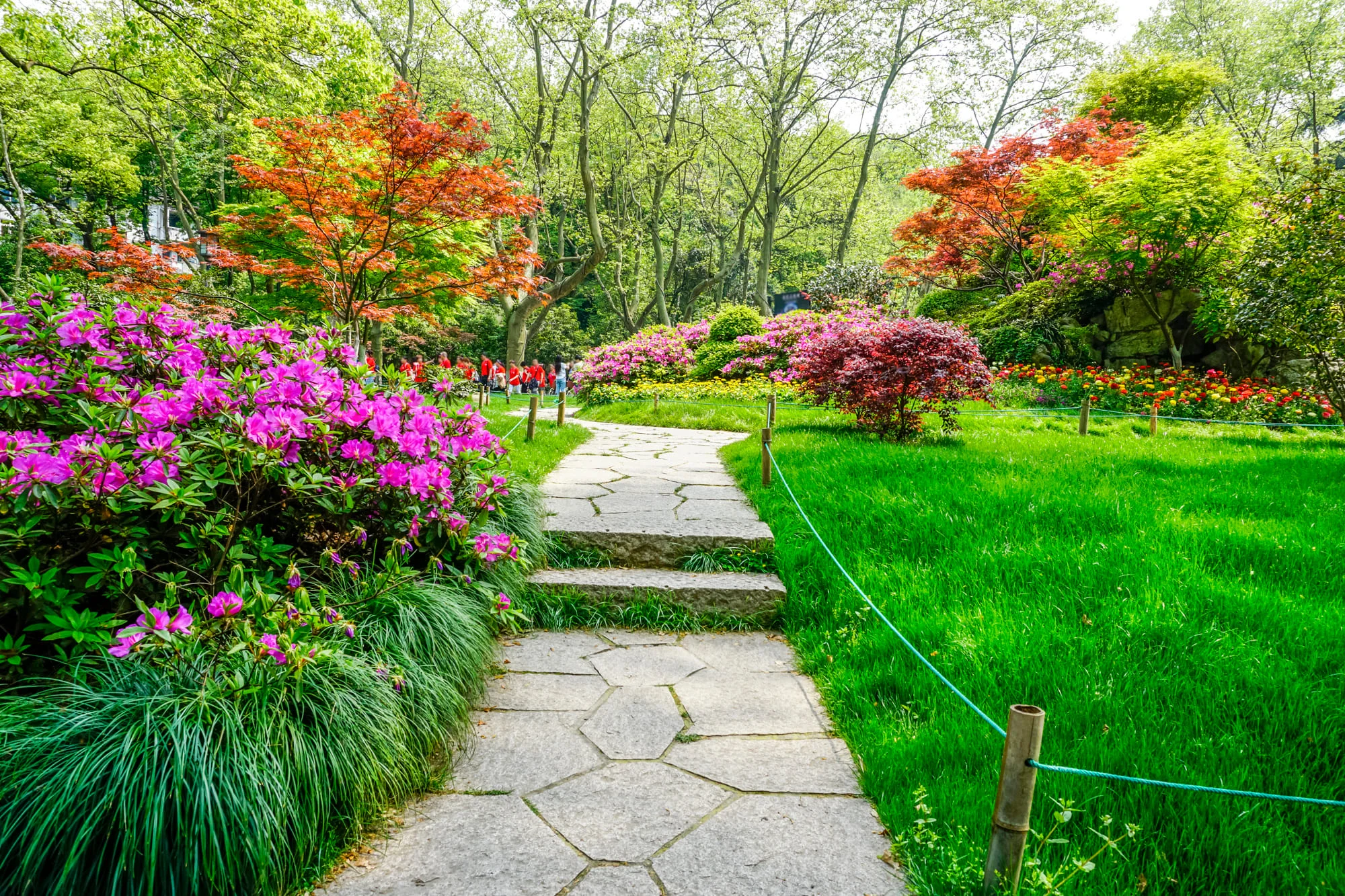 Landscape That Looks Great Year-Round