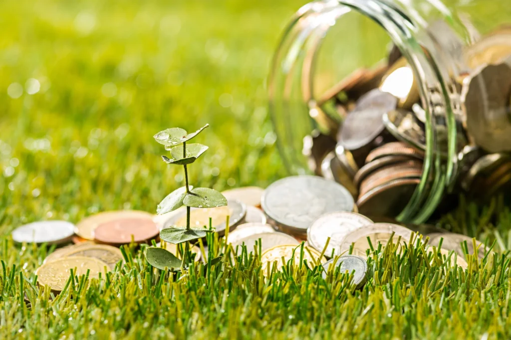Landscaping on a Budget