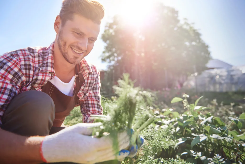 Professional lawn care