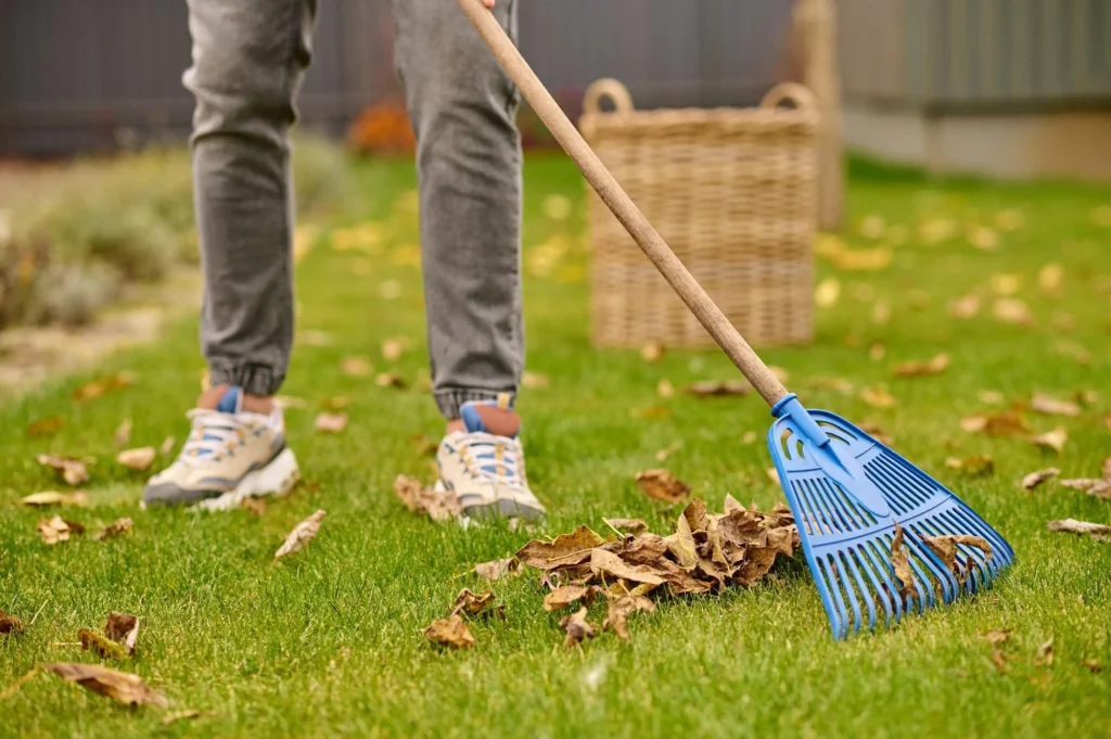 lawn care