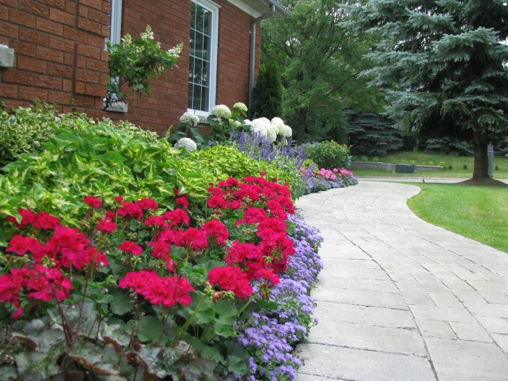 landscaping yard