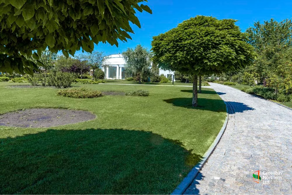 The Role of Hardscaping in Enhancing Aurora Landscapes