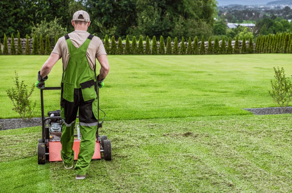 Lawn Care & Landscaping in Newmarket