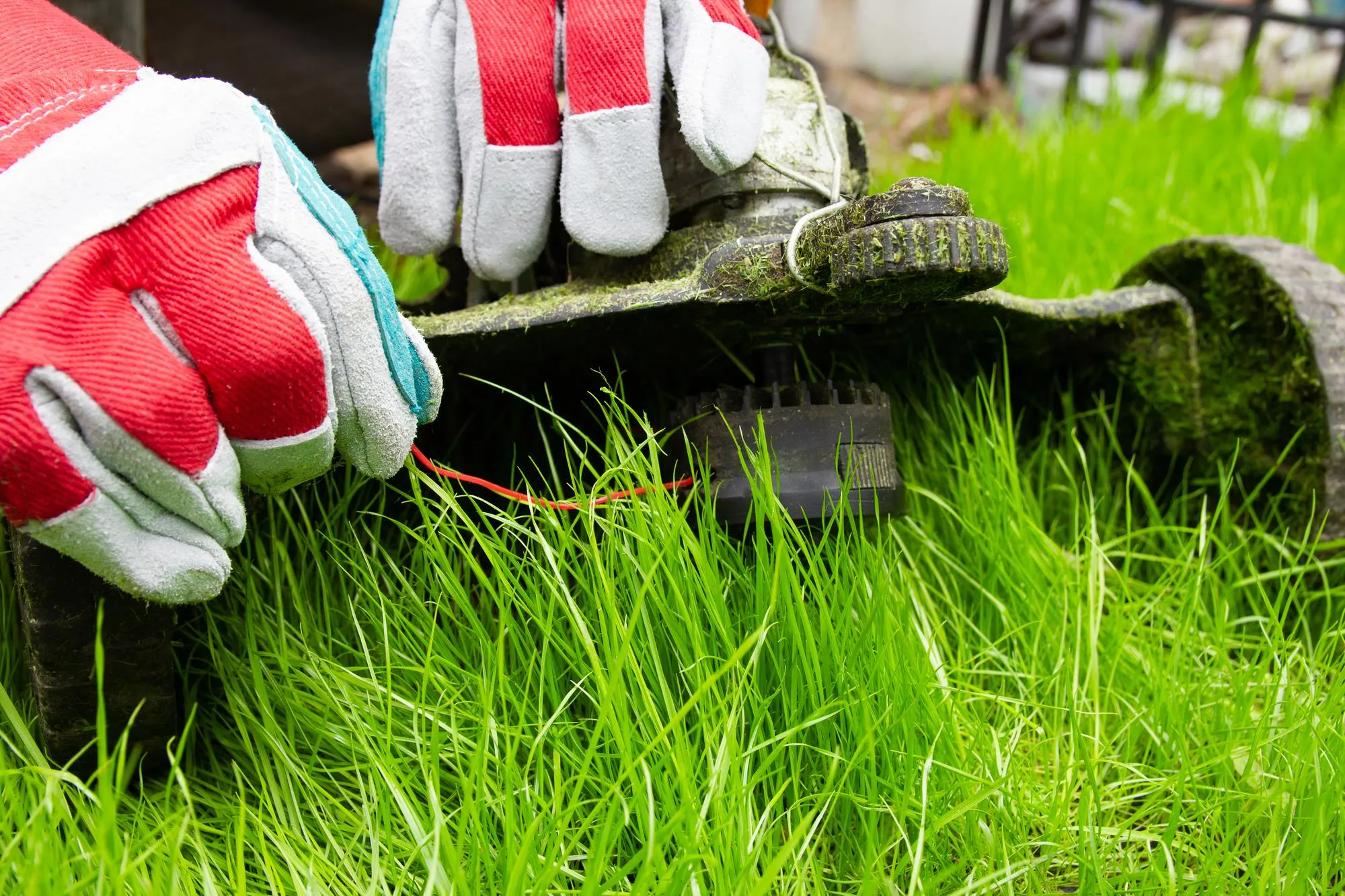 Professional Lawn Care & Mowing Services