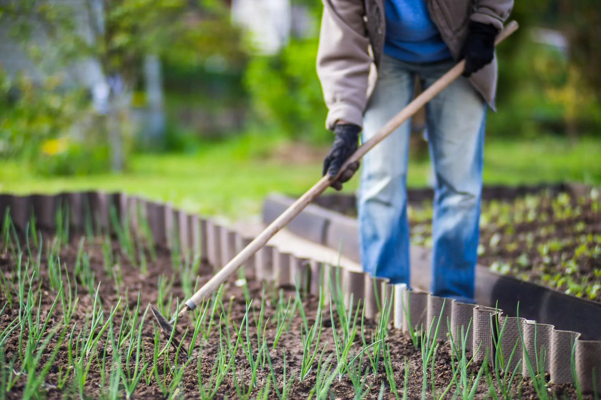 Expert Mulching & Garden Bed Maintenance Services