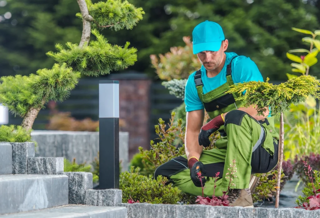 Professional Landscaping in King City