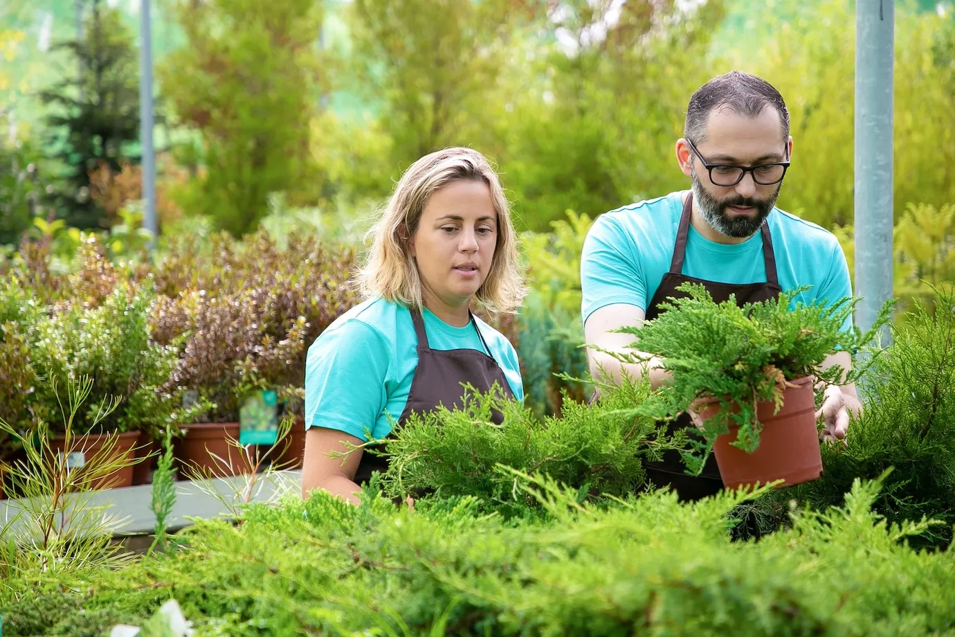 10 Reasons to Hire a Professional Landscaping Company