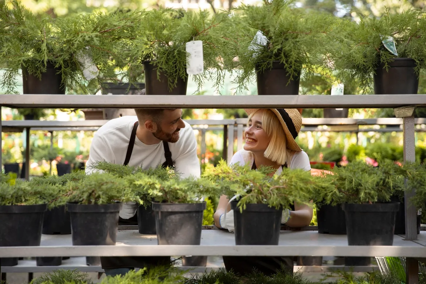 Explore the Design Process