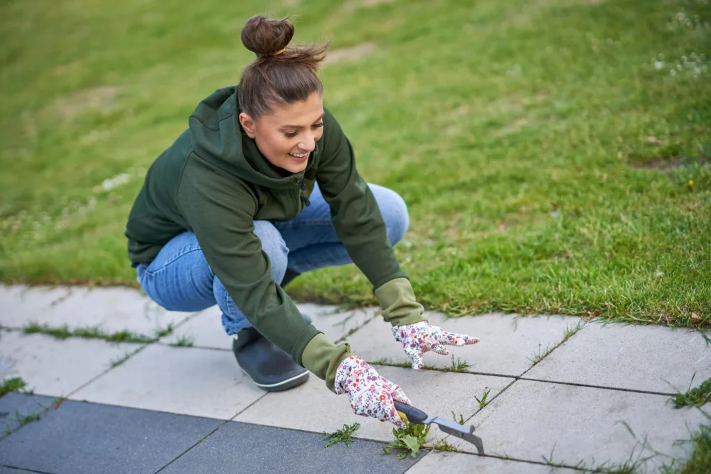 How to Maintain Your Interlocking Driveway Year-Round