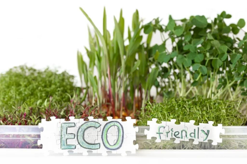 The Environmental Benefits of Landscaping