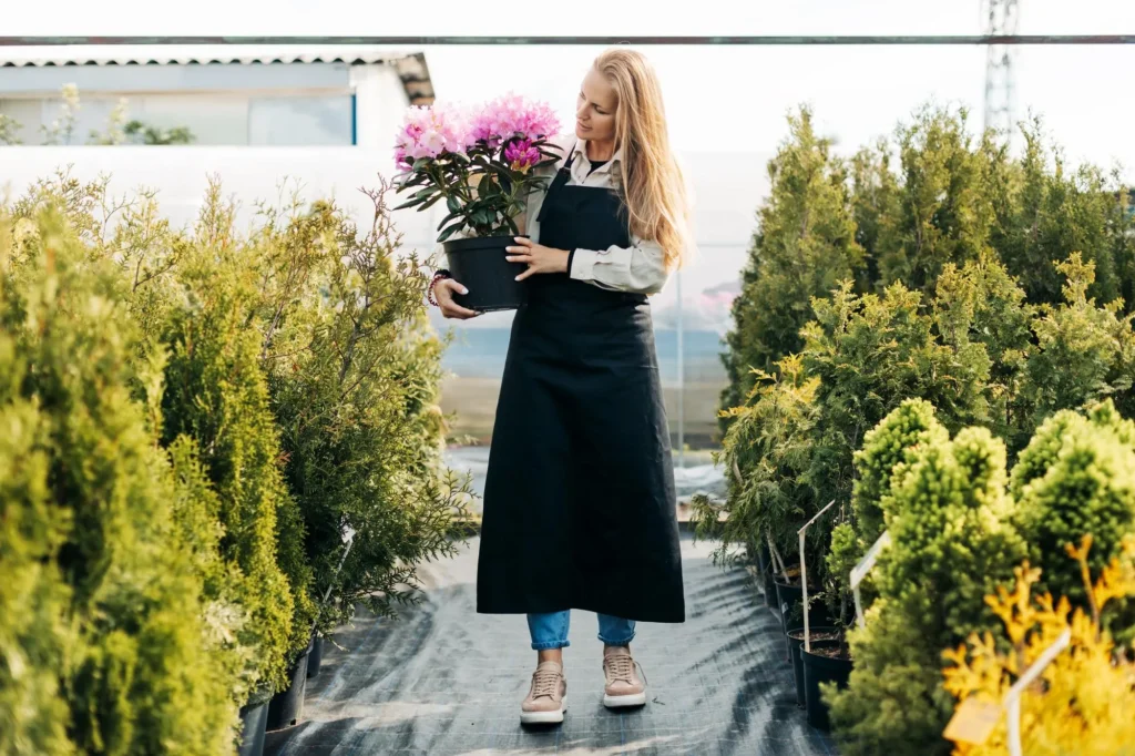Container Gardening on Patios & Walkways