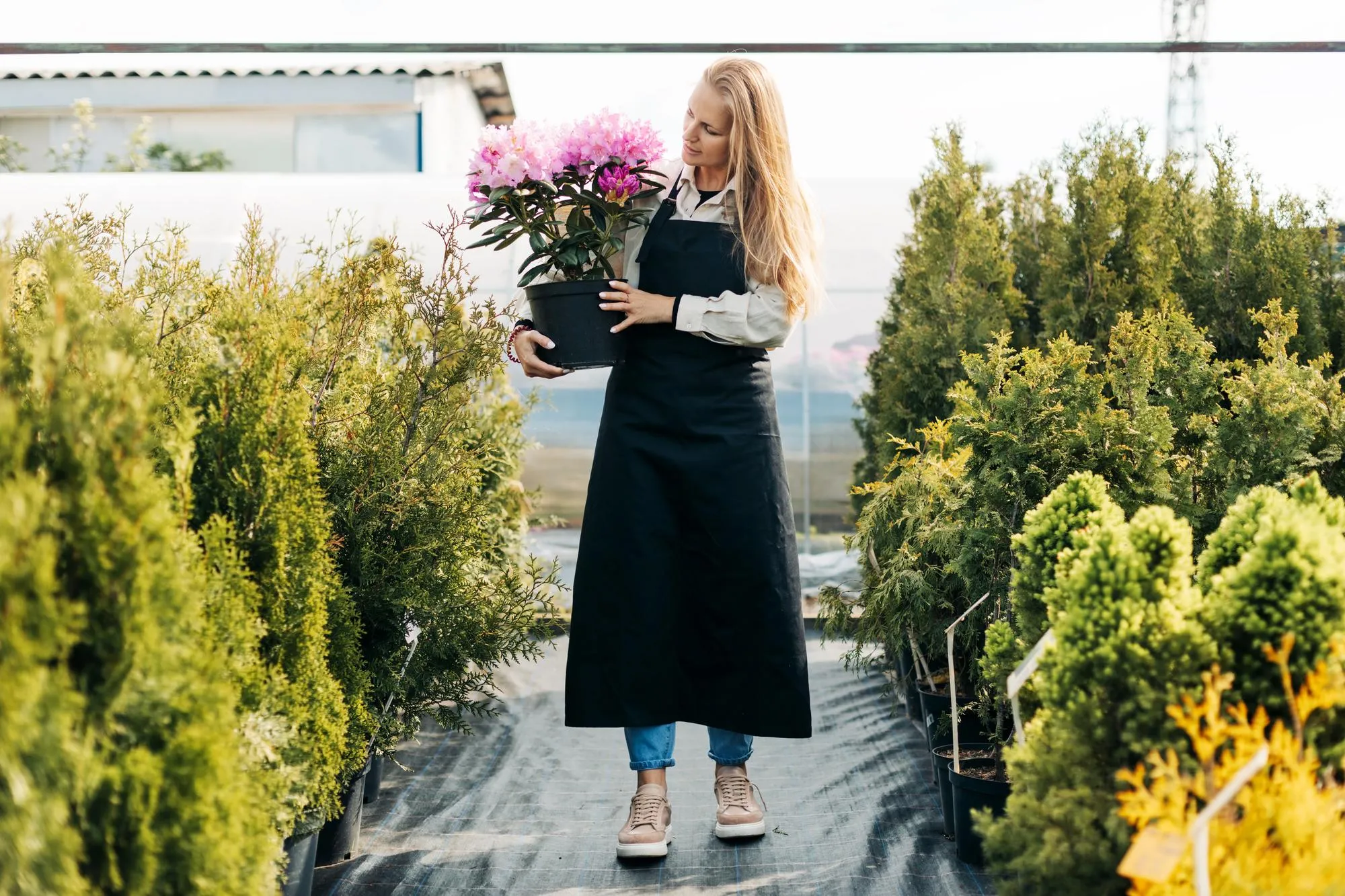 Container Gardening on Patios & Walkways