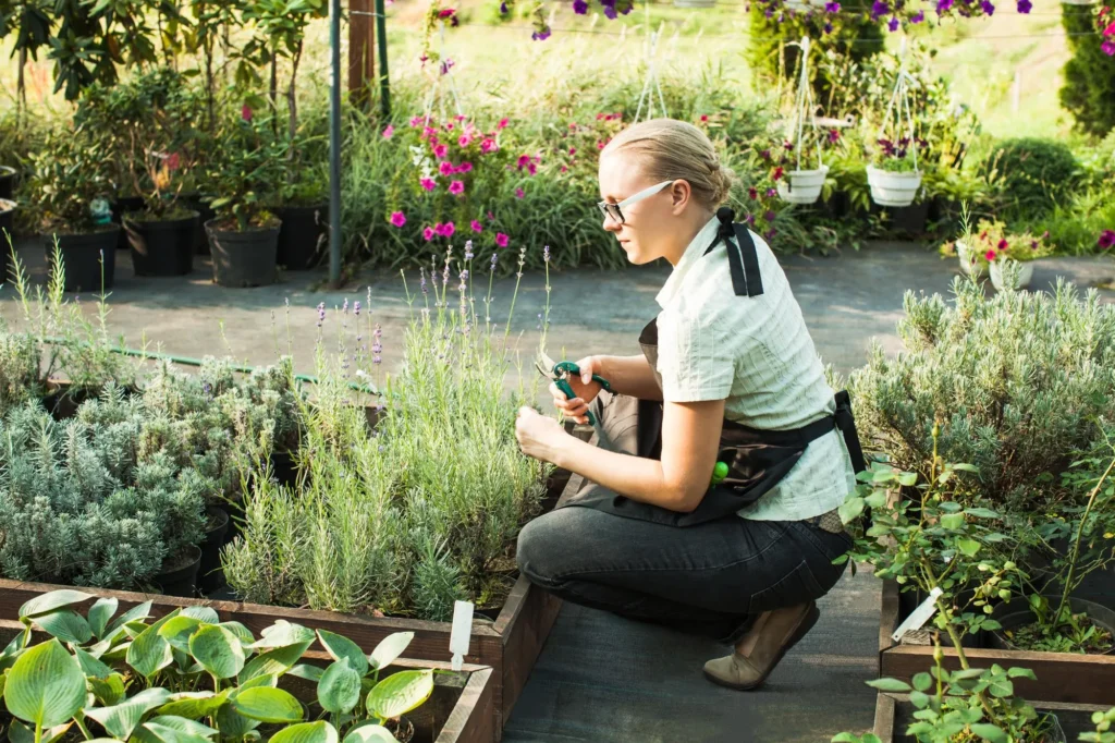 Designing a Pollinator-Friendly Garden: Plants That Attract Bees and Butterflies