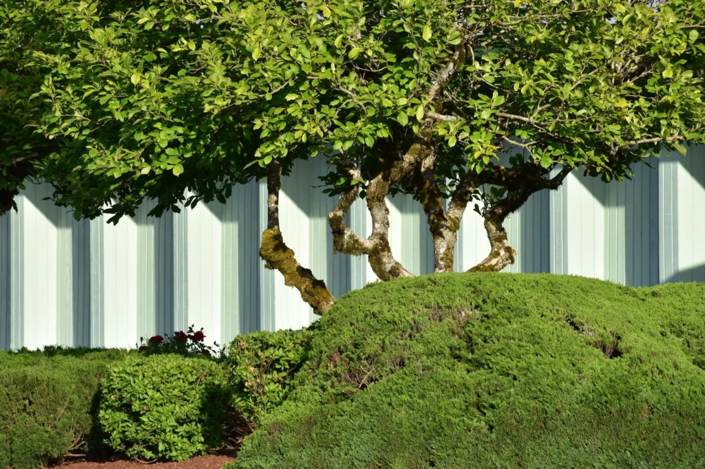 How to Create Shade Zones with Trees & Hardscape Features