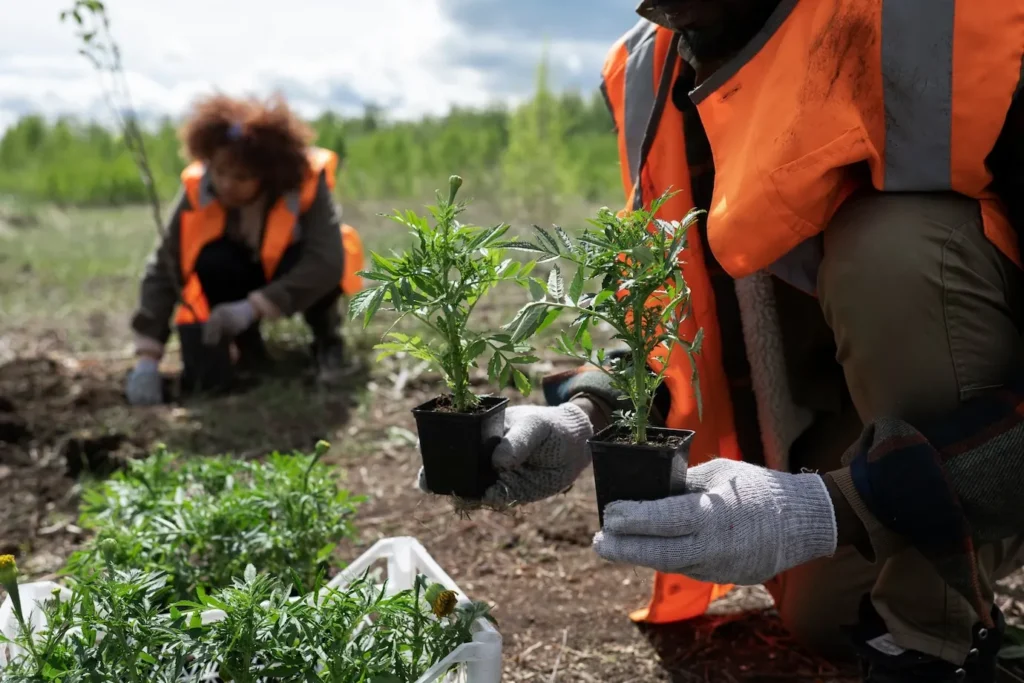 Incorporating Native Wisconsin Plants to Support Local Pollinators