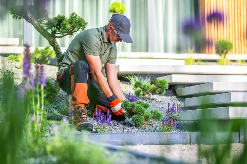 Low‑Maintenance Landscaping Tips for Busy Homeowners