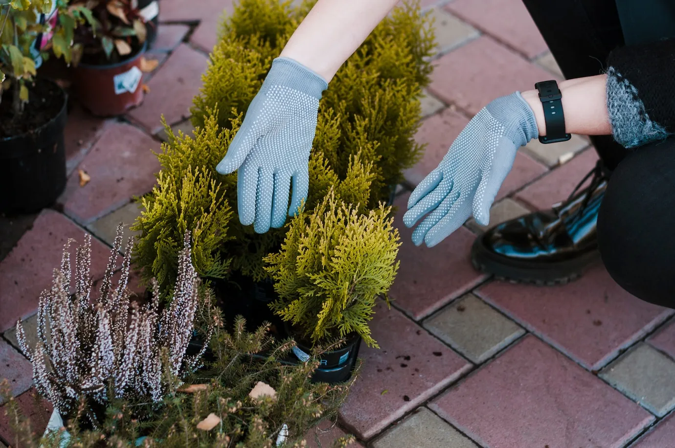 Native Plant Landscaping: Why It Works So Well in Ontario