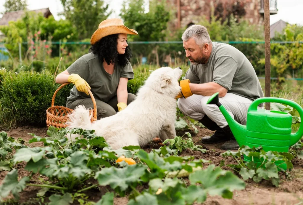Pet‑Friendly Landscaping Safe Plants & Layouts for Your Family