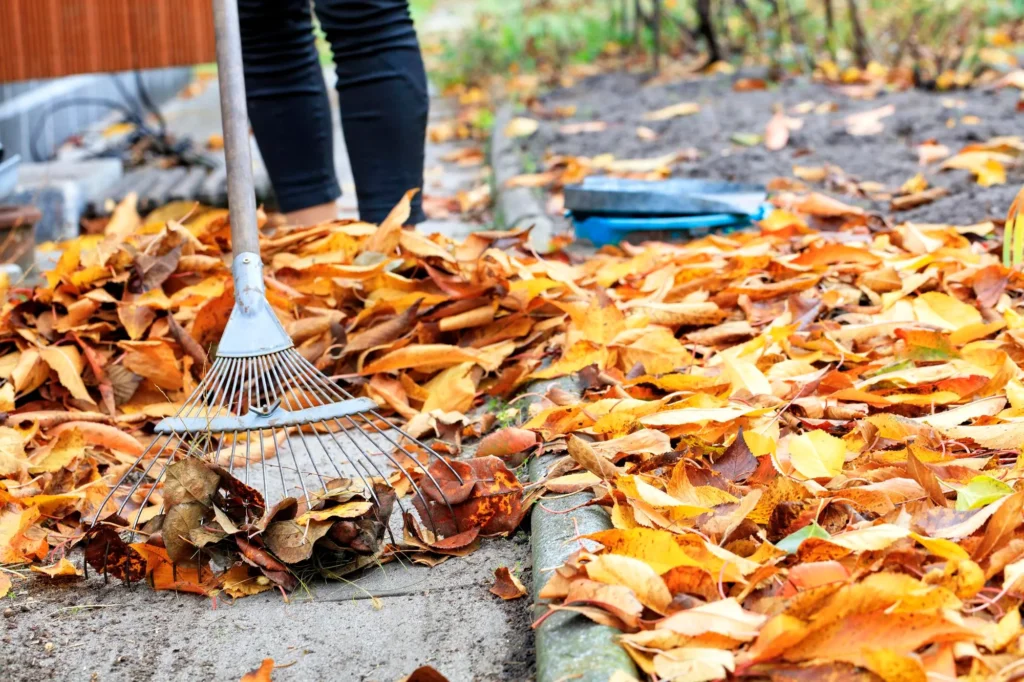 Seasonal Garden Bed Prep Spring & Fall Landscaping Tips