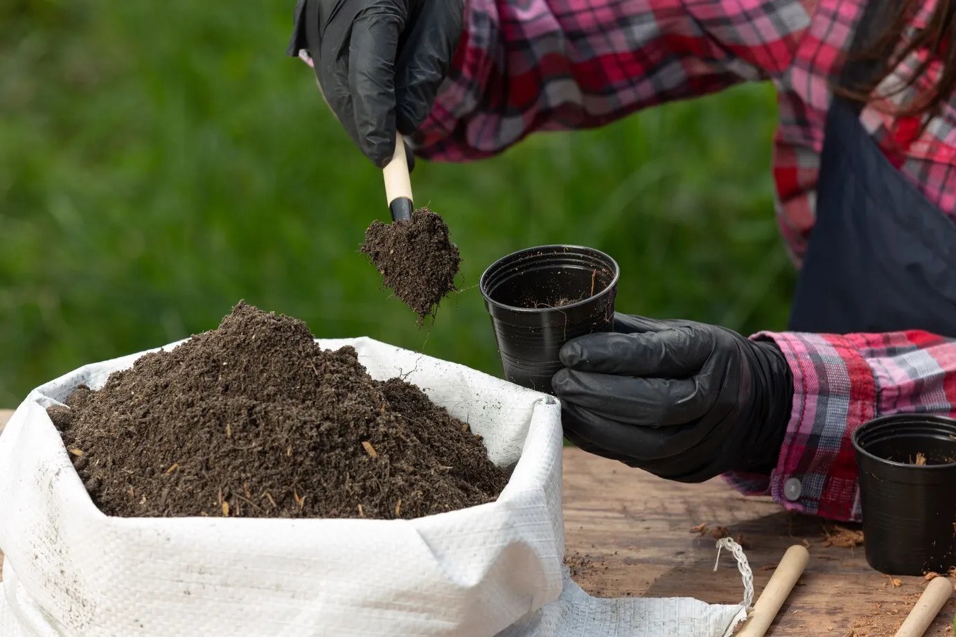 Seasonal Mulching & Soil Enrichment Techniques