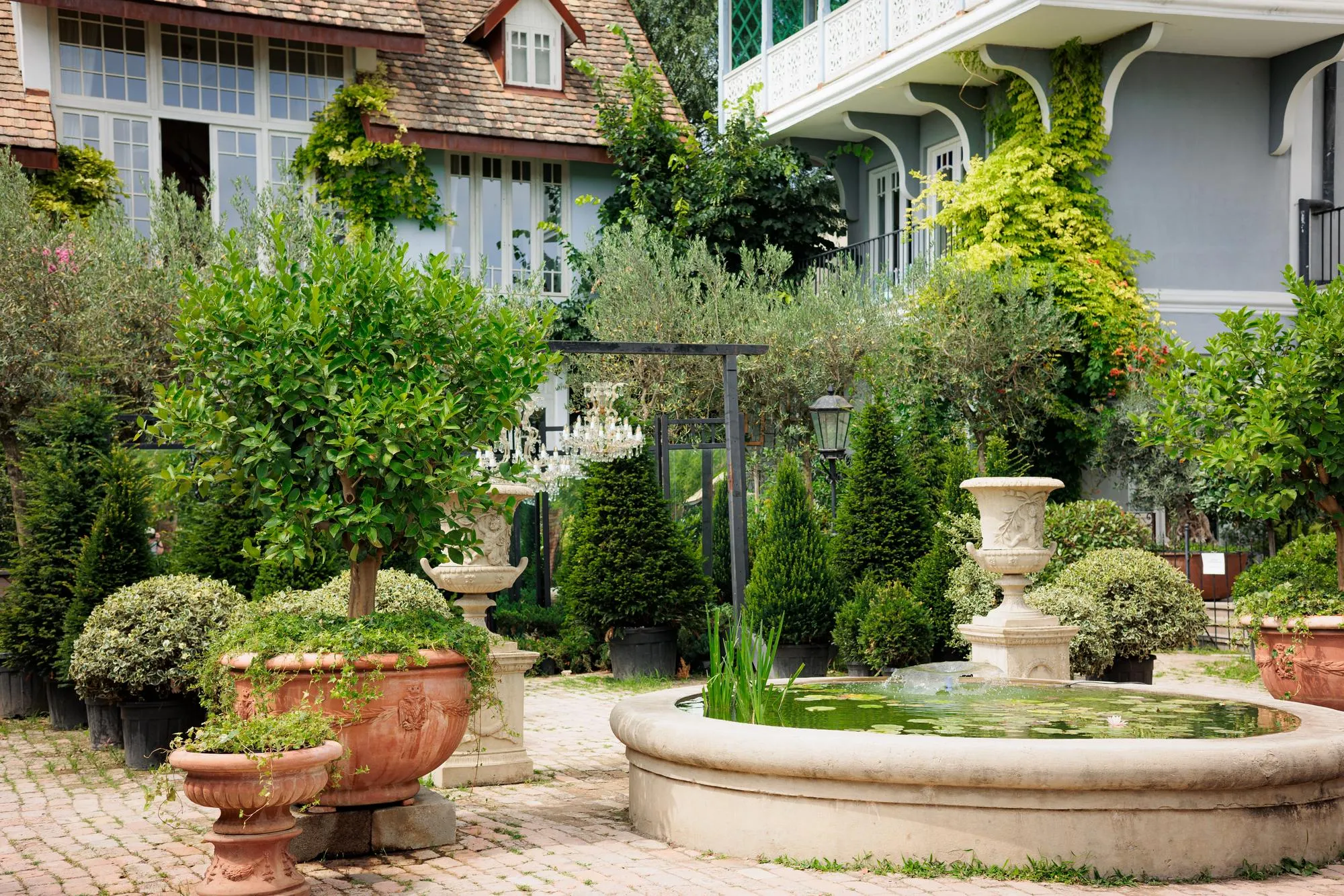 Courtyard Landscaping Designs for Privacy & Elegance
